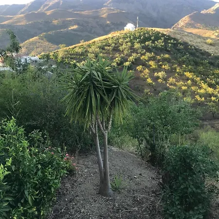 別荘 Mi Casa Es Su Casa