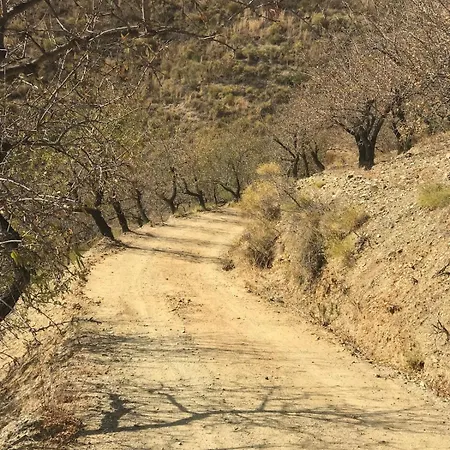 Mi Casa Es Su Casa 別荘 Sedella